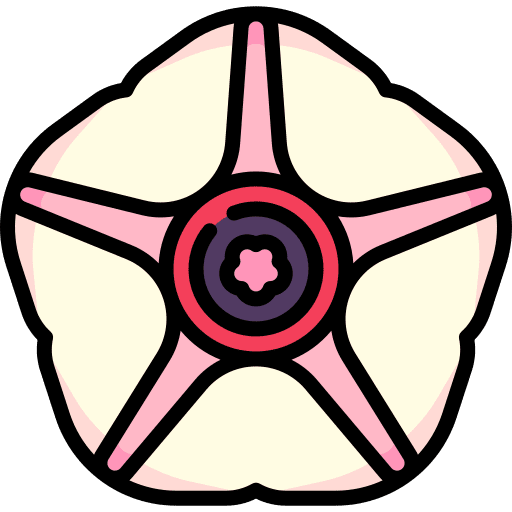 Ipomoea batatas blossom nature flower icon Ipomoea batatas blossom nature flower icon