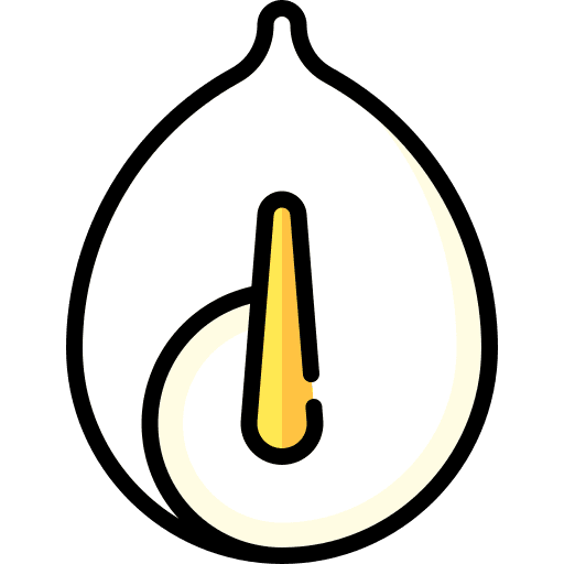 Calla lily blossom calla lily gardening icon Calla lily blossom calla lily gardening icon
