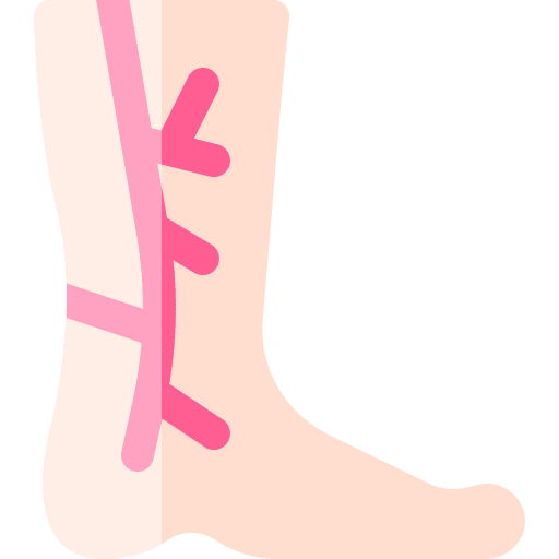 Vascular veins healthcare and medical leg icon