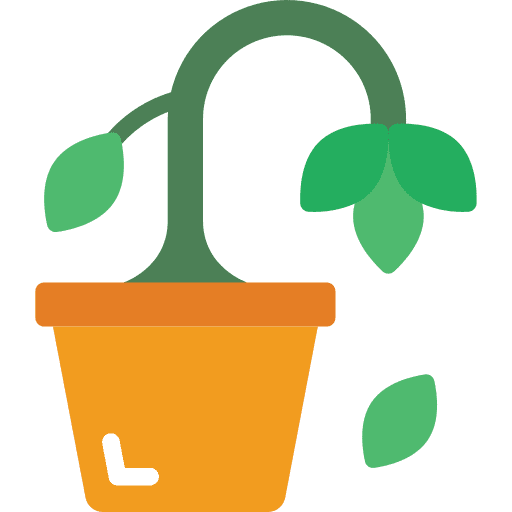 Plant dead plant pot plant icon