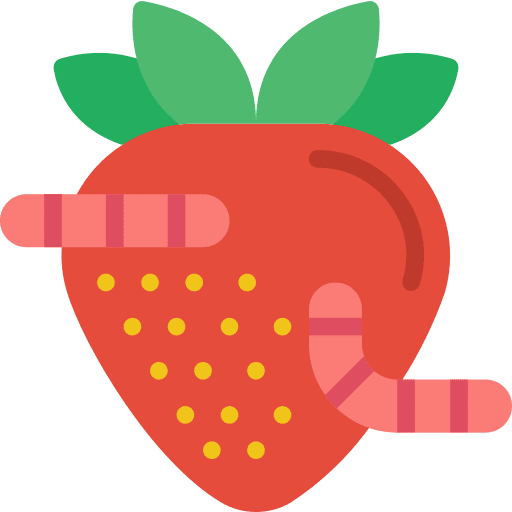 Strawberry rotten organic diet icon