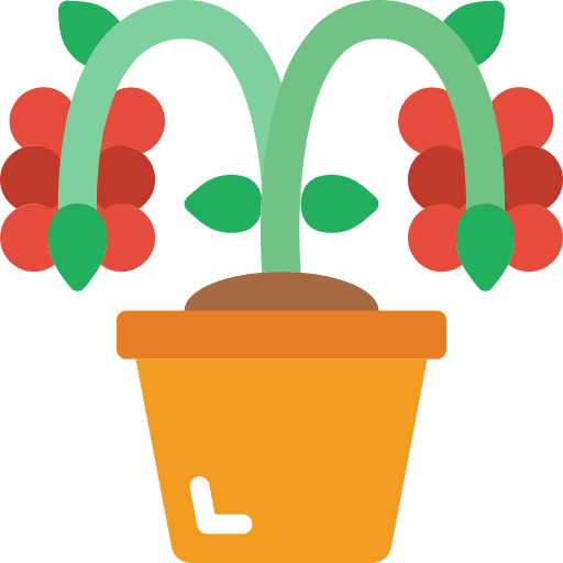 Plant plant nature leaf icon