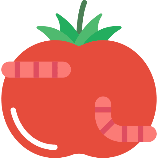 Tomato viburnum fruit infestation tomato icon