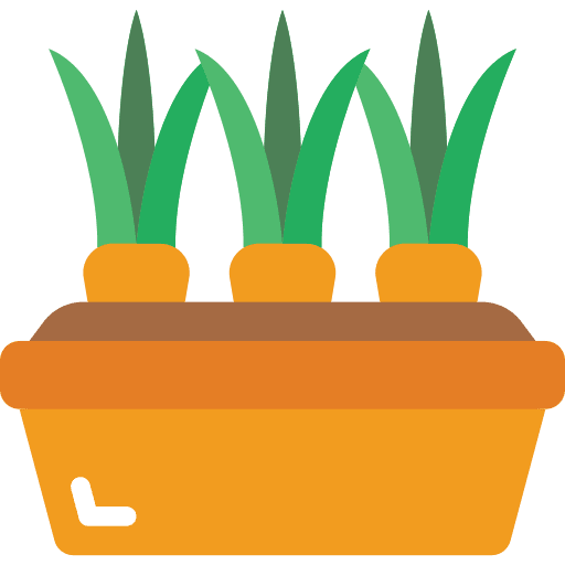 Carrots diet harvest carrots icon