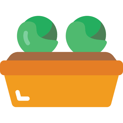 Lettuce pot harvest agriculture icon