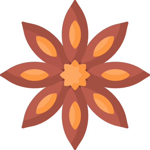 Anise anise flavour smell icon Anise anise flavour smell icon