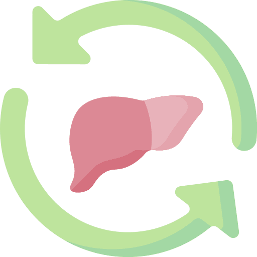 Metabolism digestion biochemical metabolism icon