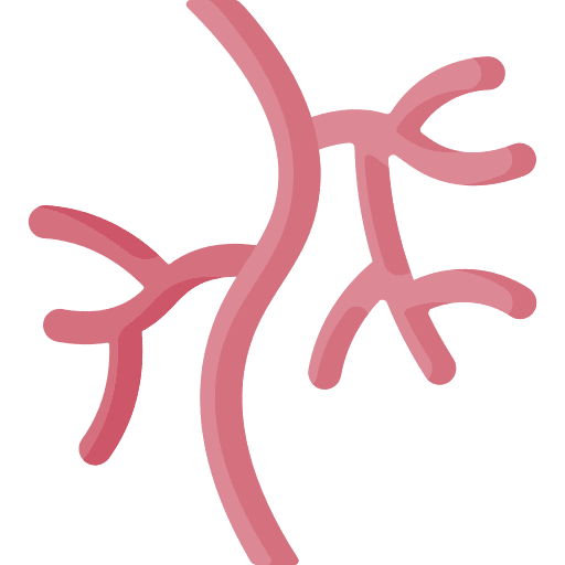 Vascular veins arteries disease icon