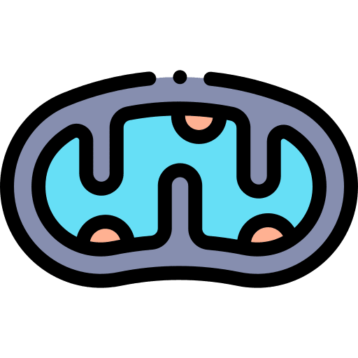 Mitochondria dna mitochondrial healthcare and medical icon Mitochondria dna mitochondrial healthcare and medical icon