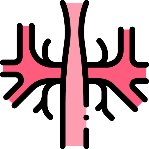 Vascular artery arteries healthcare and medical icon Vascular artery arteries healthcare and medical icon