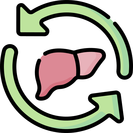 Metabolism healthcare and medical digestion biochemical icon