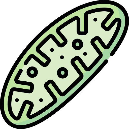 Mitochondria mitochondrial healthcare and medical mtdna icon Mitochondria mitochondrial healthcare and medical mtdna icon