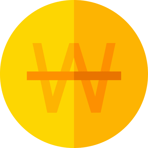Won coin currency money icon