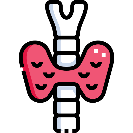 Endocrine system endocrine system healthcare and medical anatomy icon