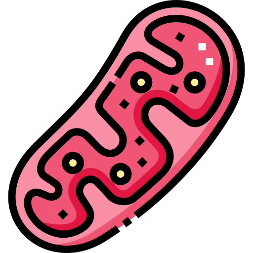 Mitochondria mitochondria genome healthcare and medical icon