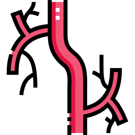Vascular veins artery heart icon Vascular veins artery heart icon
