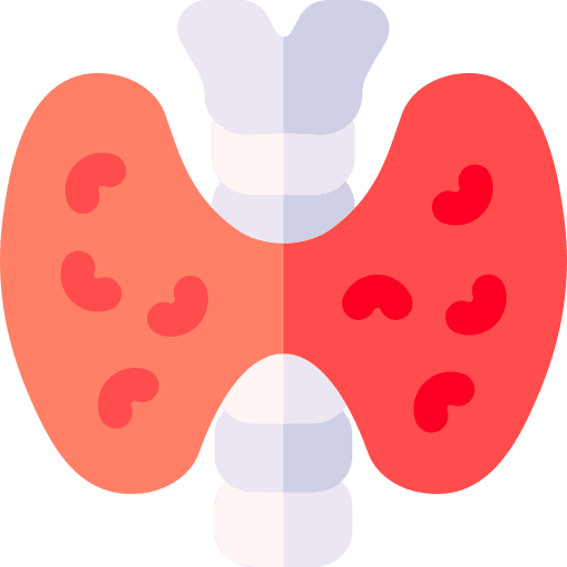 Endocrine anatomy endocrine healthcare and medical icon