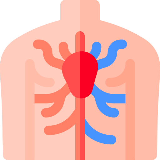 Vascular arteries veins human body icon Vascular arteries veins human body icon