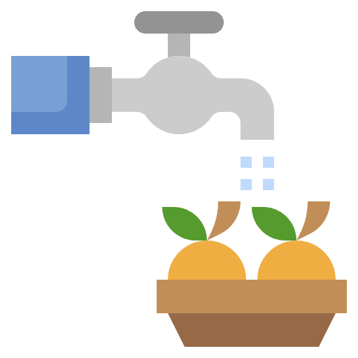 Wash fruit vegetable disinfect icon