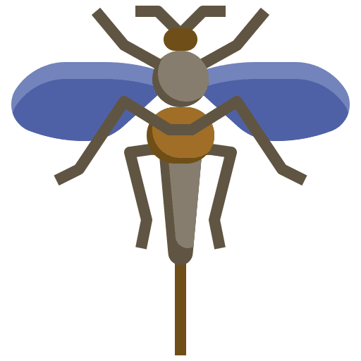 Fruit fly insect animal problem icon