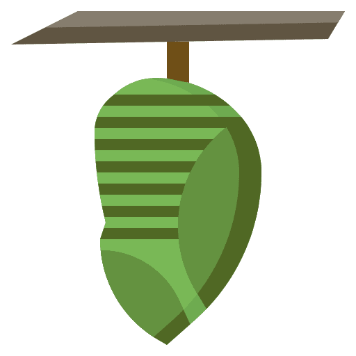 Leaf insect symbol animals interface icon