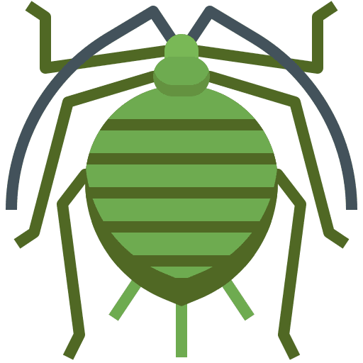 Aphididae animal animals problem icon Aphididae animal animals problem icon
