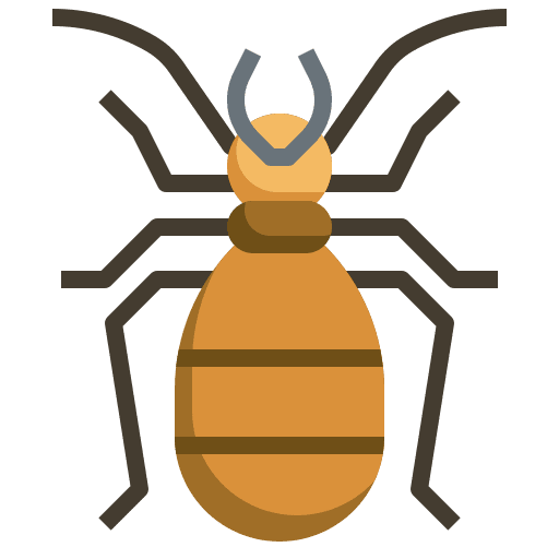 Bug bug animals symbol icon