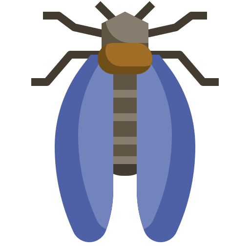 Cicada symbol insect animal icon Cicada symbol insect animal icon