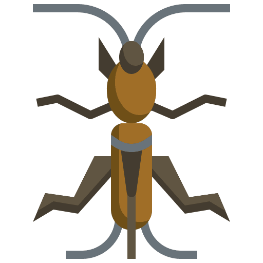 Leaf insect leaf insect animal insect icon Leaf insect leaf insect animal insect icon