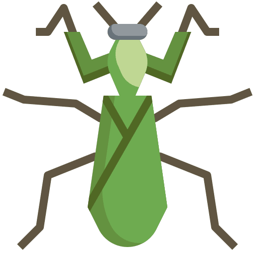 Mantis mantis protection problem icon Mantis mantis protection problem icon