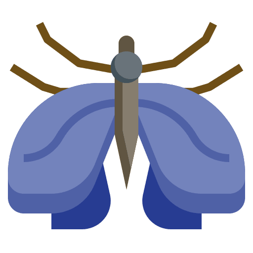 Moth animals animal problem icon Moth animals animal problem icon