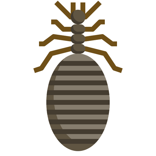 Bug interface symbol problem icon Bug interface symbol problem icon