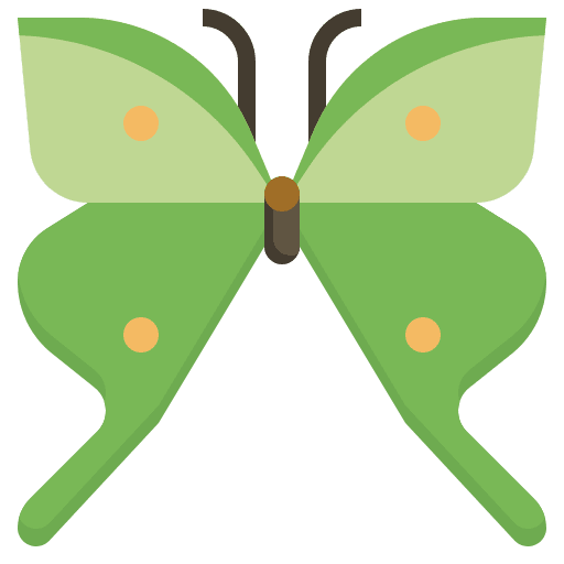 Butterfly animals symbol butterfly icon Butterfly animals symbol butterfly icon