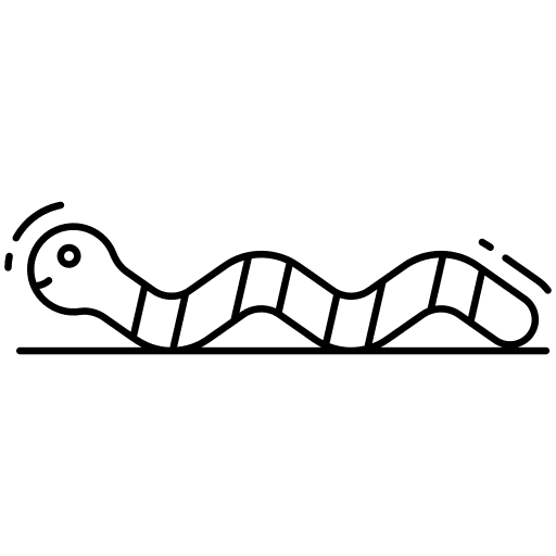 Worm worm insect bug icon Worm worm insect bug icon