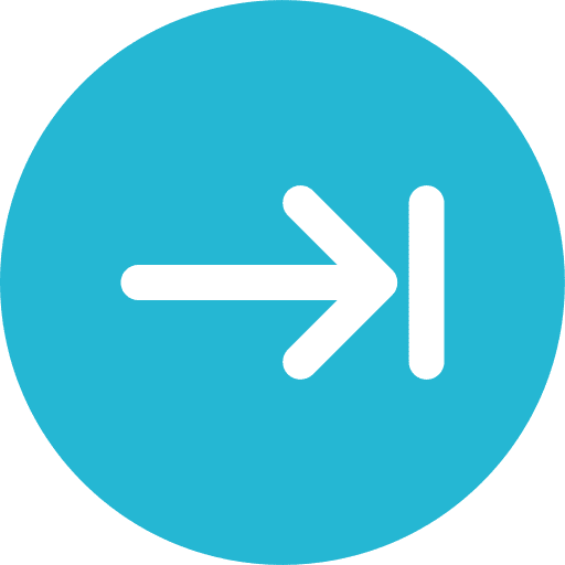 Right arrows right stop icon Right arrows right stop icon