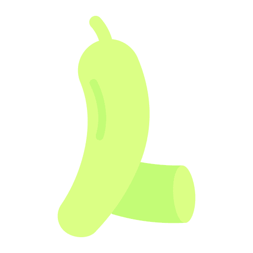 Bitter gourd bitter gourd organic vegan icon
