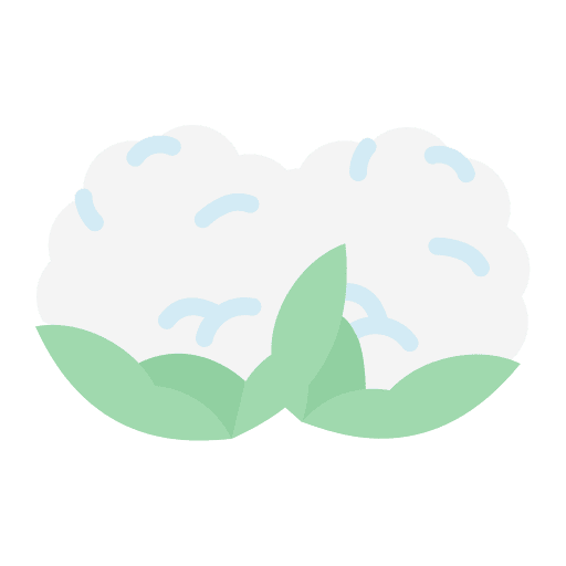 Cauliflower vegetarian food and restaurant organic icon Cauliflower vegetarian food and restaurant organic icon