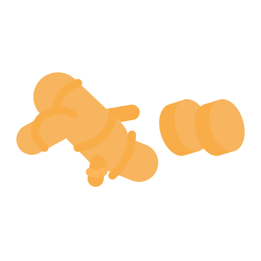 Ginger organic vegan healthy food icon
