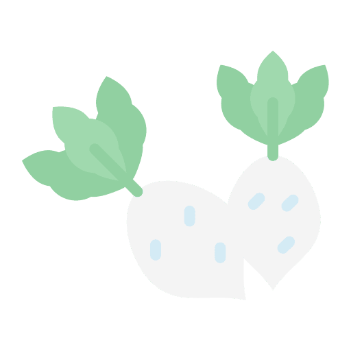 Radish healthy food food and restaurant vegetarian icon Radish healthy food food and restaurant vegetarian icon