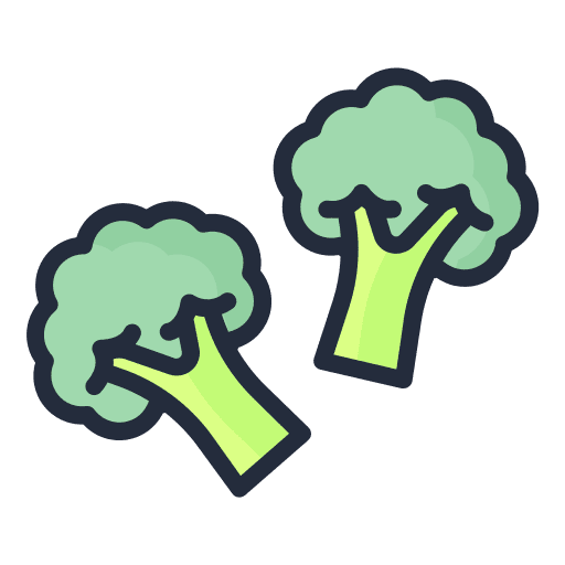 Broccoli organic broccoli vegetable icon