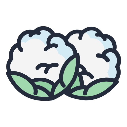 Cauliflower vegan organic cauliflower icon Cauliflower vegan organic cauliflower icon