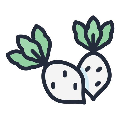 Radish vegan radish vegetarian icon Radish vegan radish vegetarian icon
