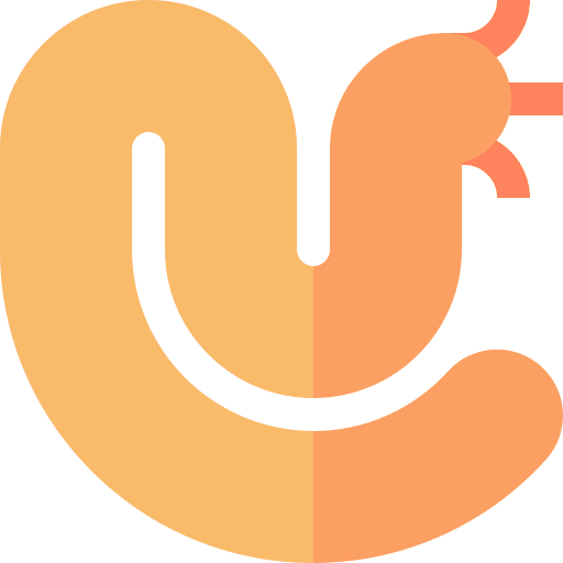 Sea worm sea life sea worm echinoderm icon