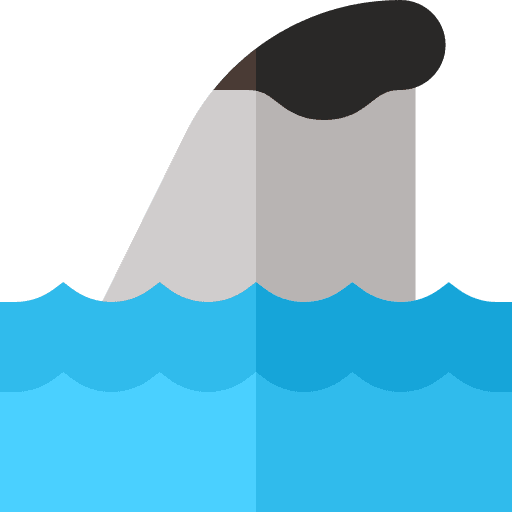 Shark animal holidays fin icon Shark animal holidays fin icon