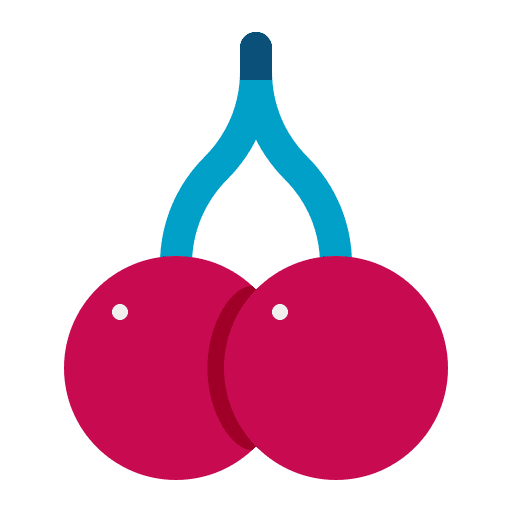 Cherries vegan diet healthy food icon