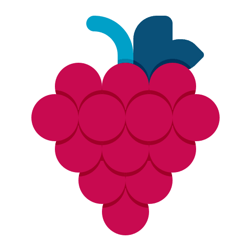 Grapes food and restaurant bouquet food icon