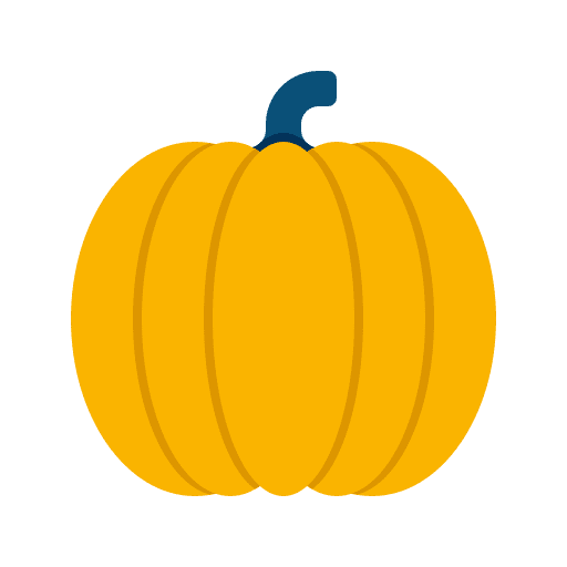 Pumpkin organic vegan healthy food icon