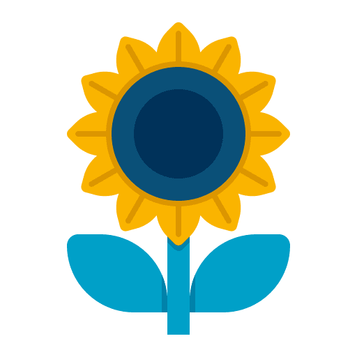 Sunflower botanical sunflower flower icon