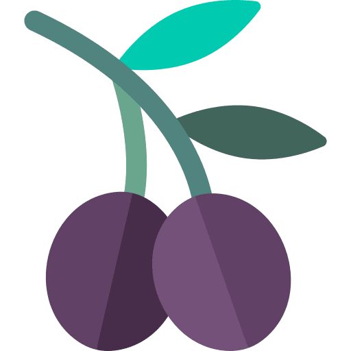 Olives diet vegan food icon
