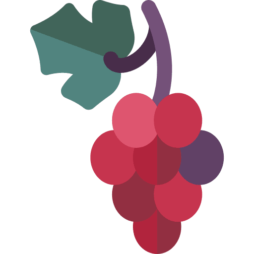 Grapes vegetarian healthy food wine icon Grapes vegetarian healthy food wine icon